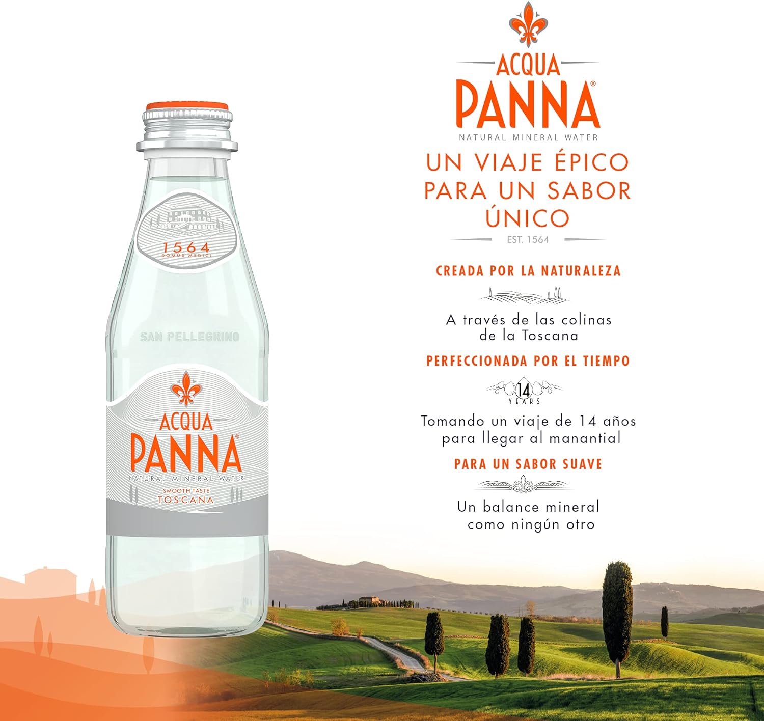 Acqua Panna Natural Still Water - Box Of 24 Bottle – 250 ml